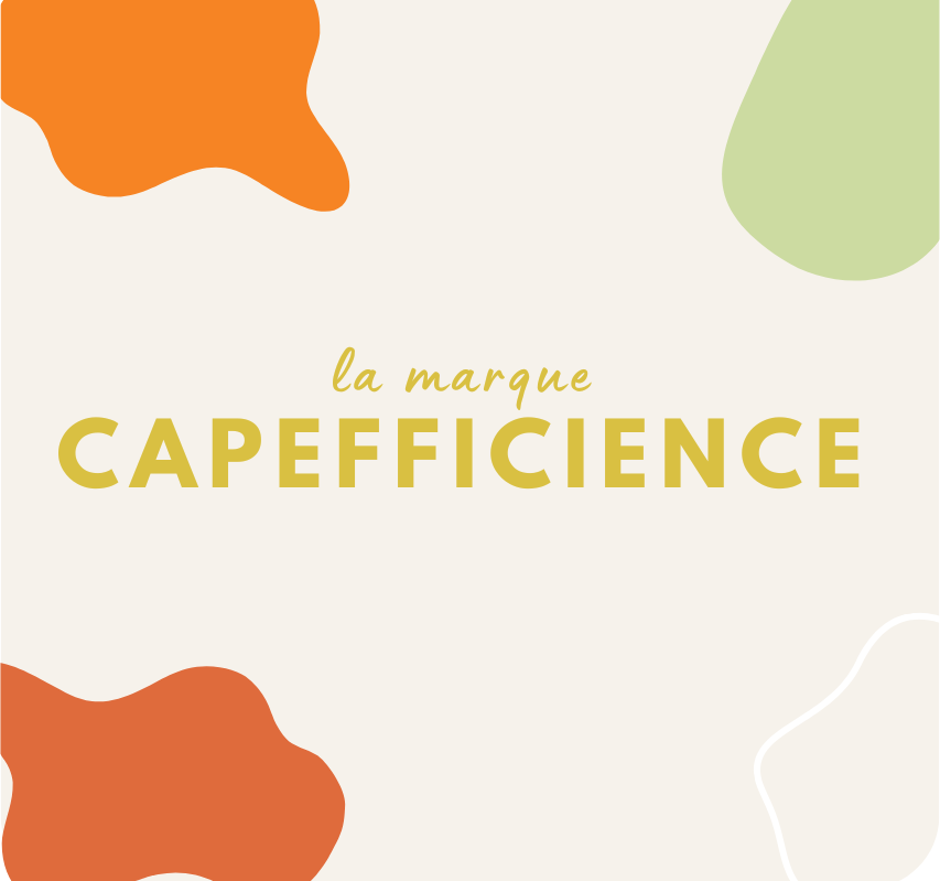 Site web CAPEFFICIENCE